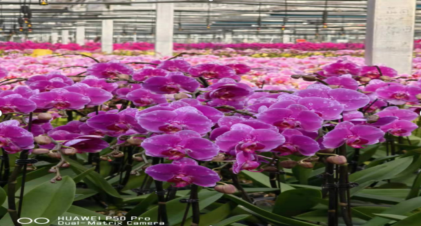 PA旗舰厅(中国区)集团