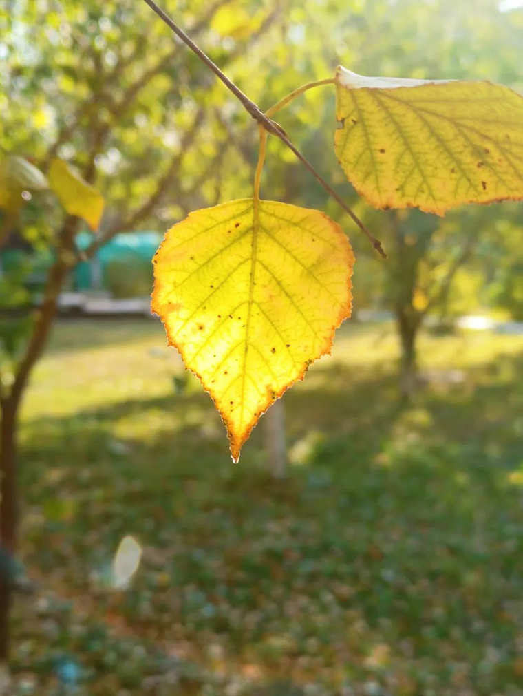 634e11145610d.jpg 634e11145610d.jpg