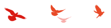 6447712a393b0.png 6447712a393b0.png