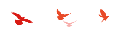 646c03041d232.png 646c03041d232.png